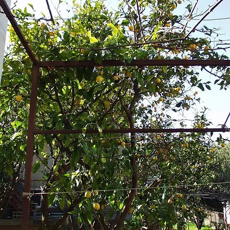 Studio 313b Podaca